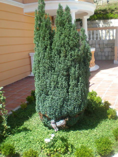 Вилла в Петроваце, Черногория, 470 м² - фото 17