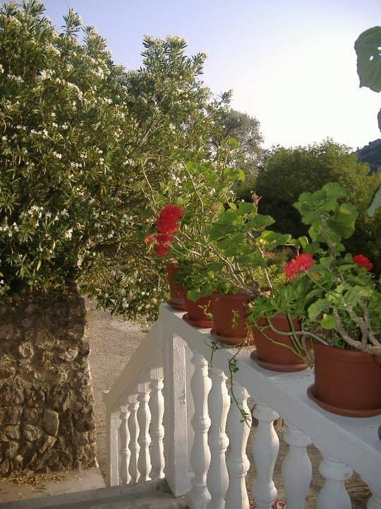 Дом в Сутоморе, Черногория, 157 м² - фото 3