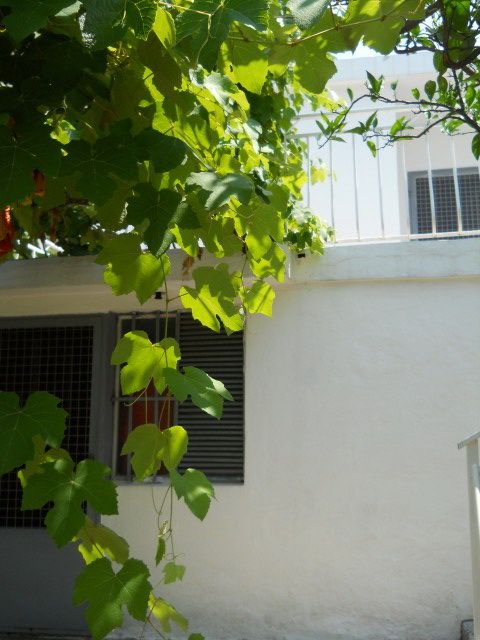 Дом в Сутоморе, Черногория, 75 м² - фото 9