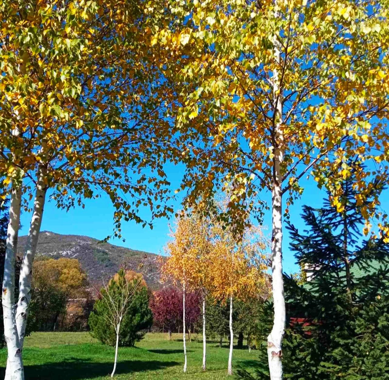 Доходный дом в Никшиче, Черногория, 1 500 м² - фото 6