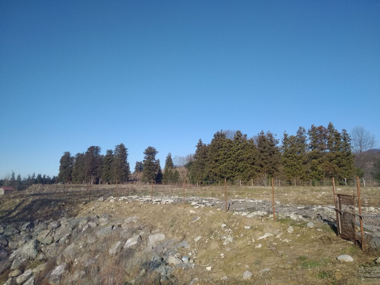 Земля в Батуми, Грузия, 100 сот. - фото 1