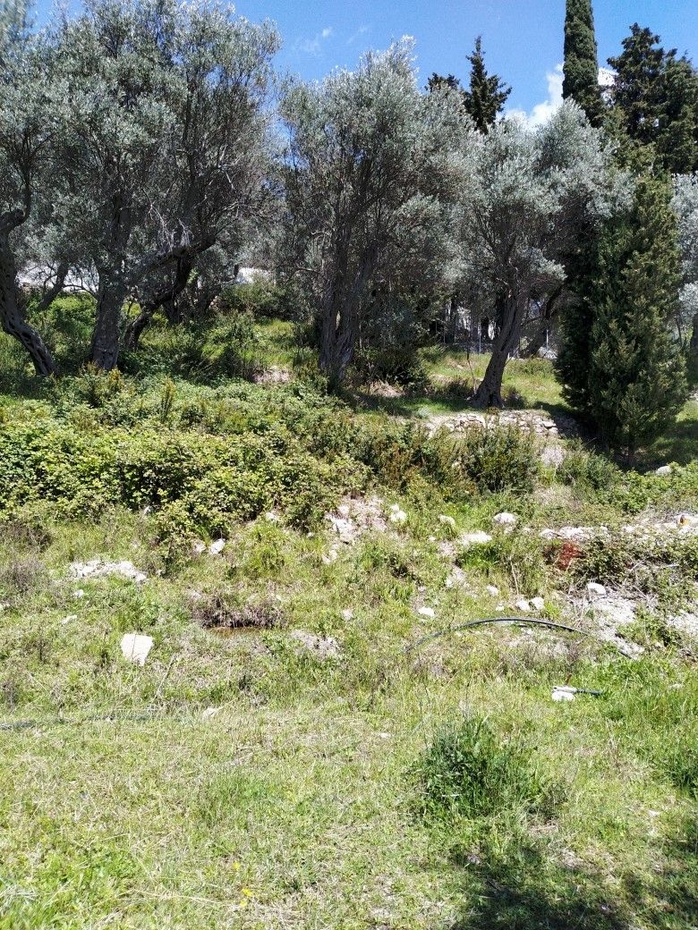 Земля в Петроваце, Черногория, 2 000 м² - фото 3