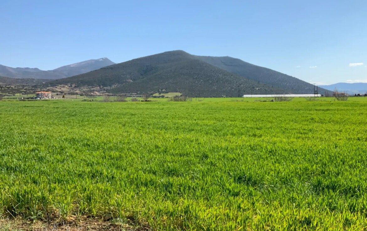 Земля в Салониках, Греция - фото 3