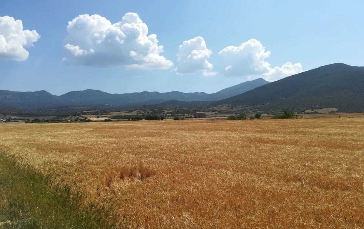 Земля в Салониках, Греция - фото 2