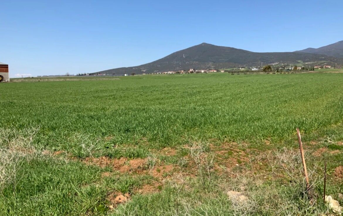 Земля в Салониках, Греция, 8 200 сот. - фото 2