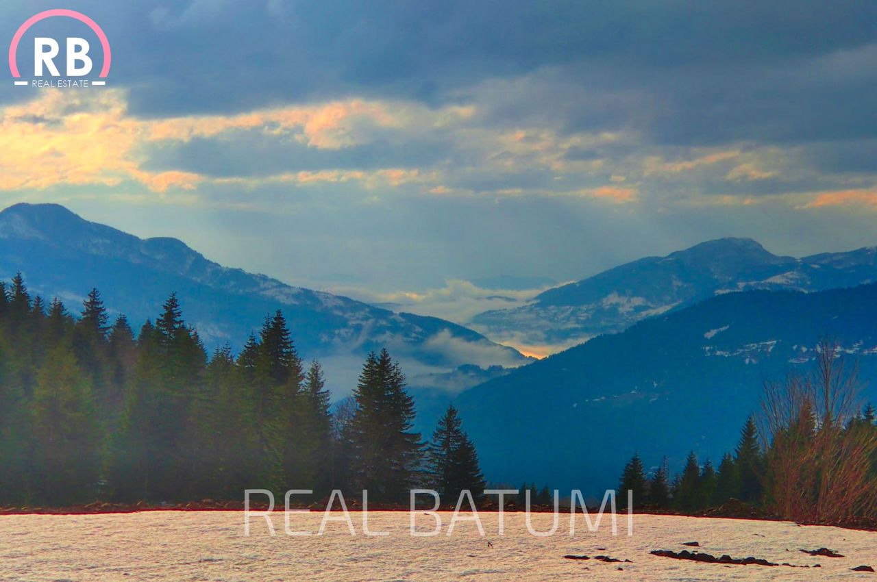 Земля в Батуми, Грузия, 500 м² - фото 7