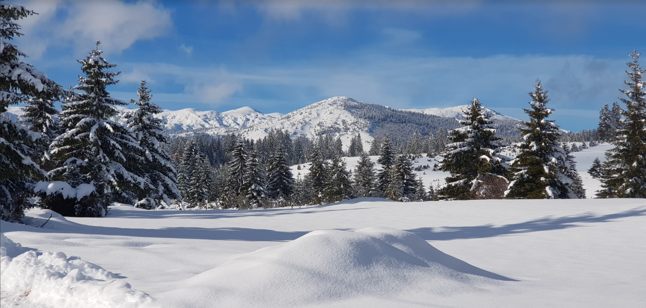 Квартира в Жабляке, Черногория, 93 м² - фото 16