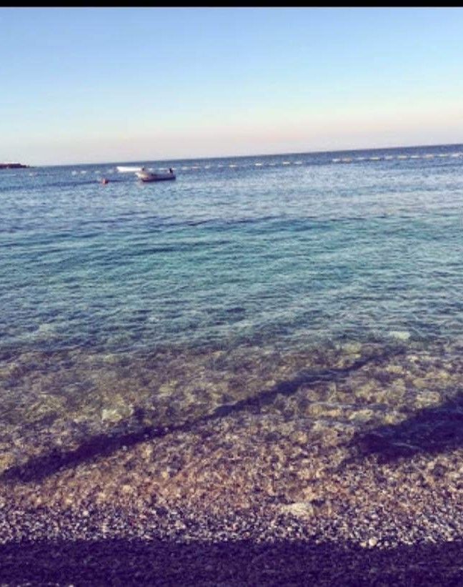 Отель, гостиница в Добра Воде, Черногория - фото 2