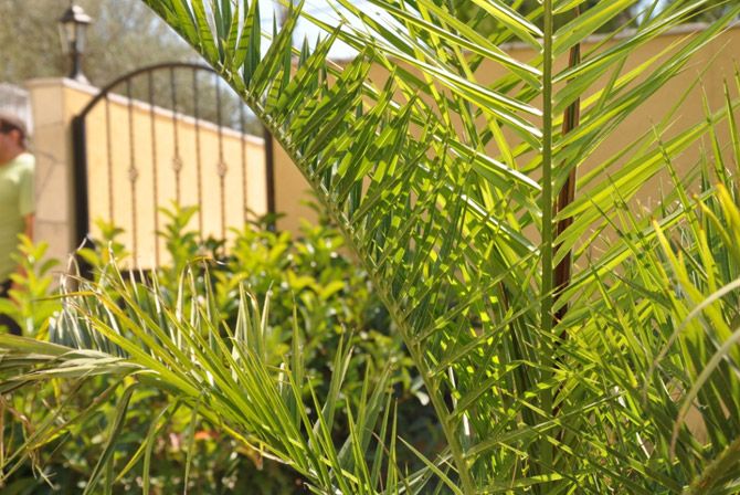 Отель, гостиница на полуострове Луштица, Черногория, 300 м² - фото 12