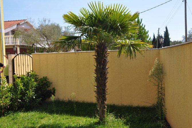 Отель, гостиница на полуострове Луштица, Черногория, 300 м² - фото 14