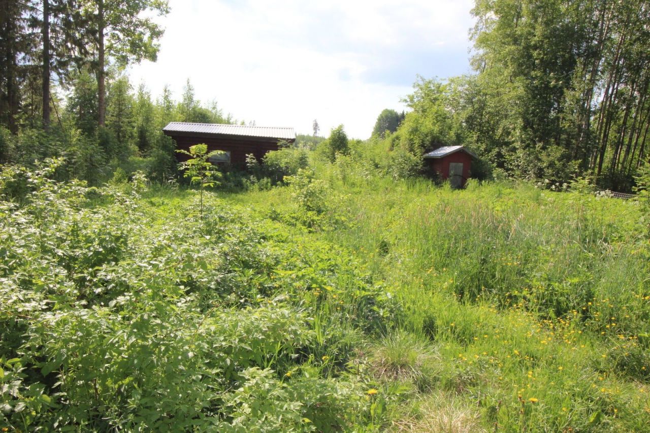 Дом в Каухава, Финляндия, 60 м² - фото 3