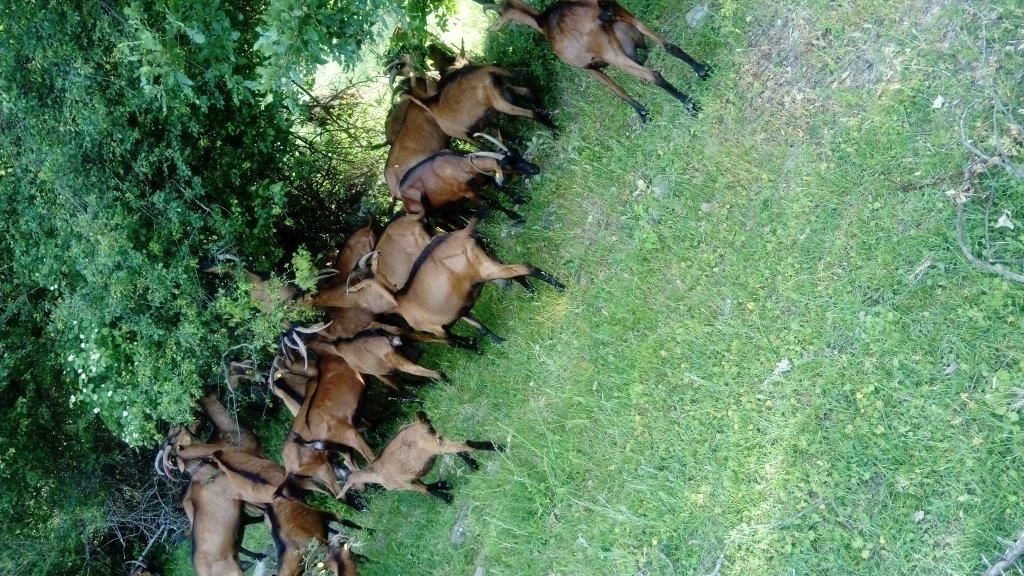 Поместье Куманово, Северная Македония, 294 м² - фото 18