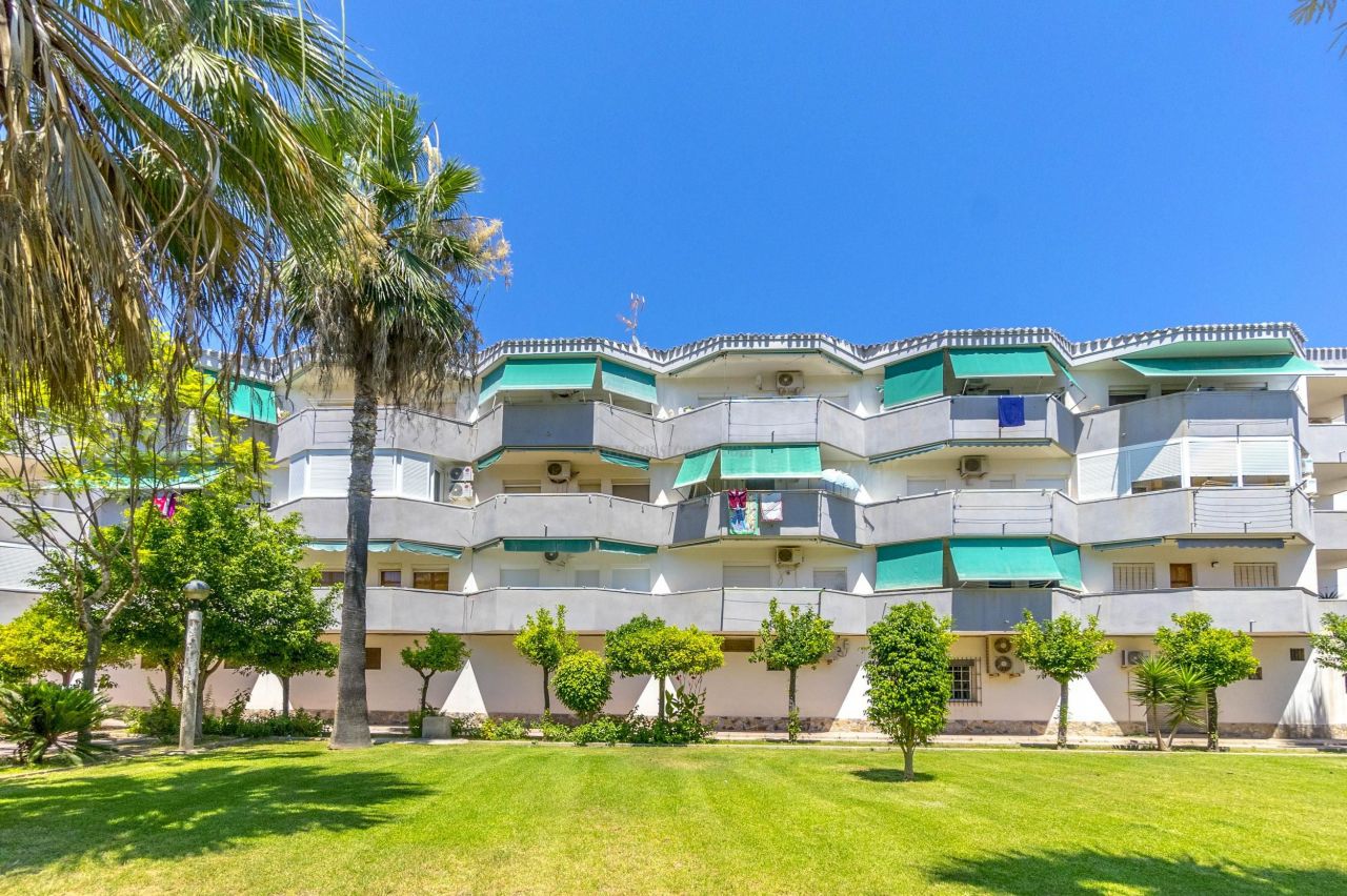 Апартаменты в Ориуэла Коста, Испания, 45 м² - фото 1