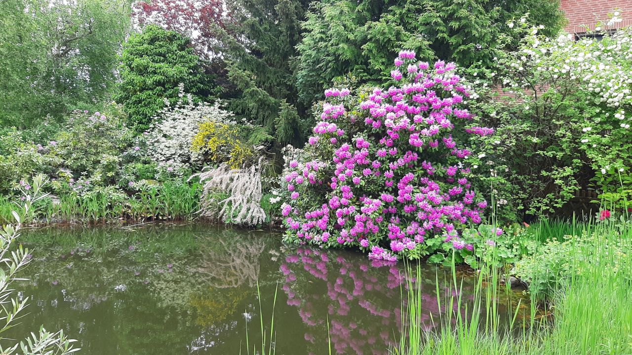 Коттедж в Ганновере, Германия, 520 м² - фото 12