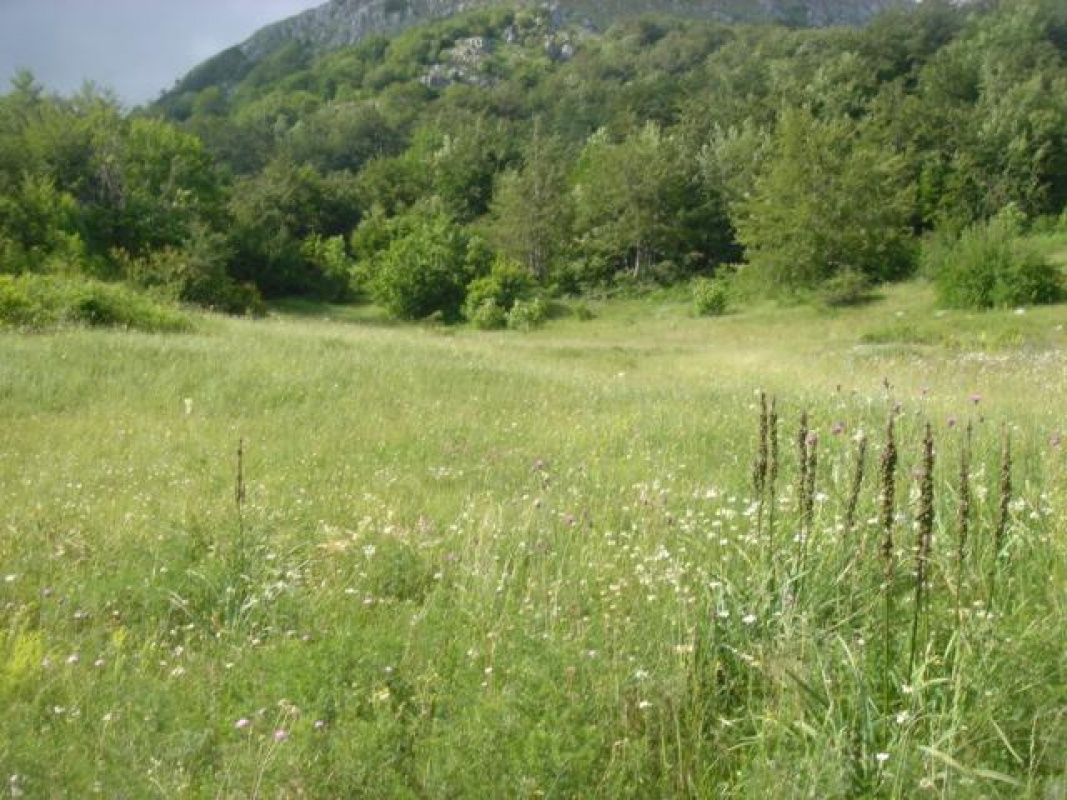 Земля в Колашине, Черногория, 185 005 м2 - фото 1