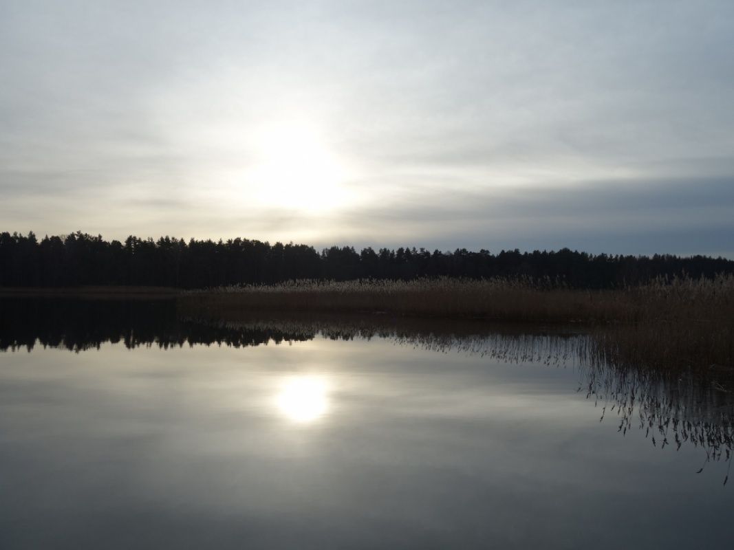 Земля в Юрмале, Латвия, 7 000 сот. - фото 1