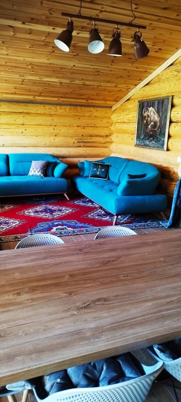 Поместье в Колашине, Черногория, 470 м² - фото 5