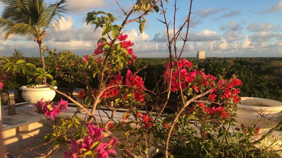 Квартира в Пунта-Кана, Доминиканская Республика, 272 м² - фото 7