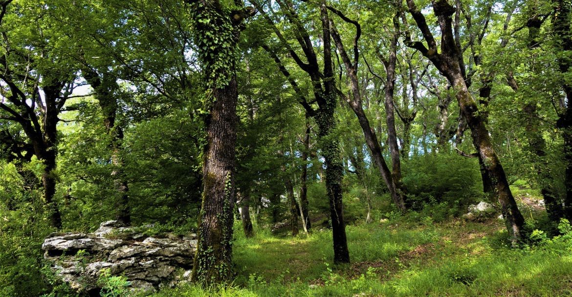 Вилла в Святом Стефане, Черногория, 270 м² - фото 9