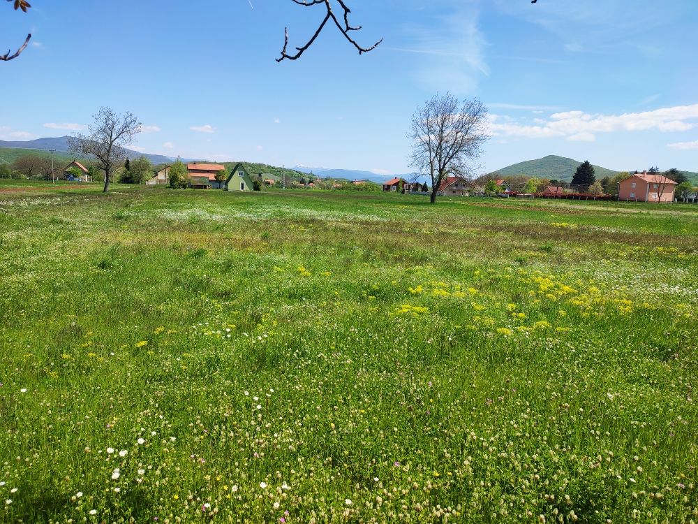 Дом в Никшиче, Черногория, 300 м² - фото 4