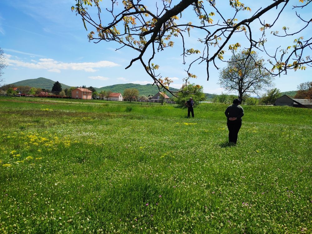 Дом в Никшиче, Черногория, 300 м² - фото 5