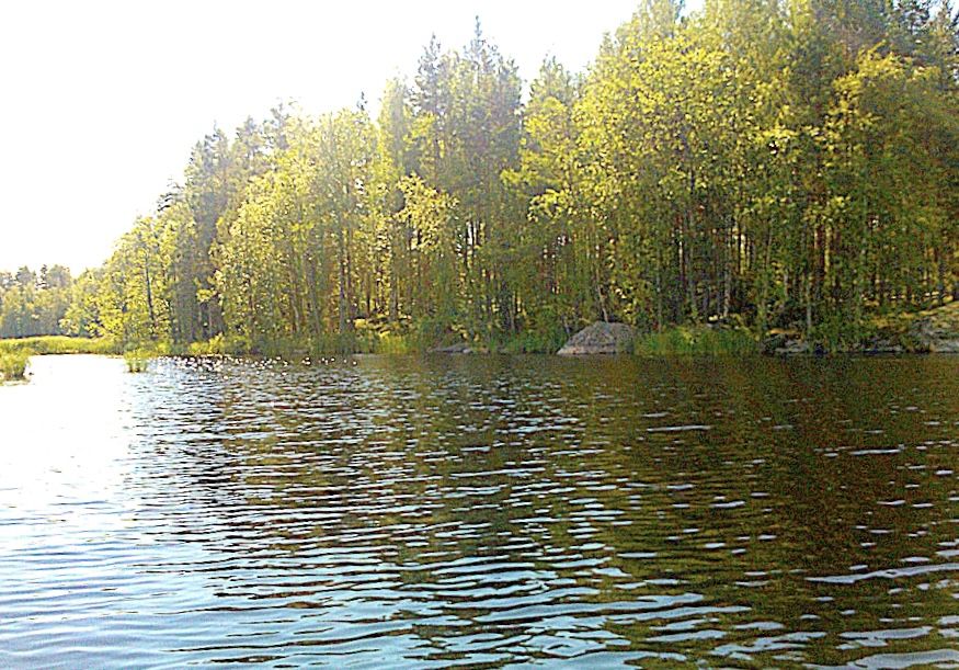 Земля в Пуумала, Финляндия, 70 000 м² - фото 3