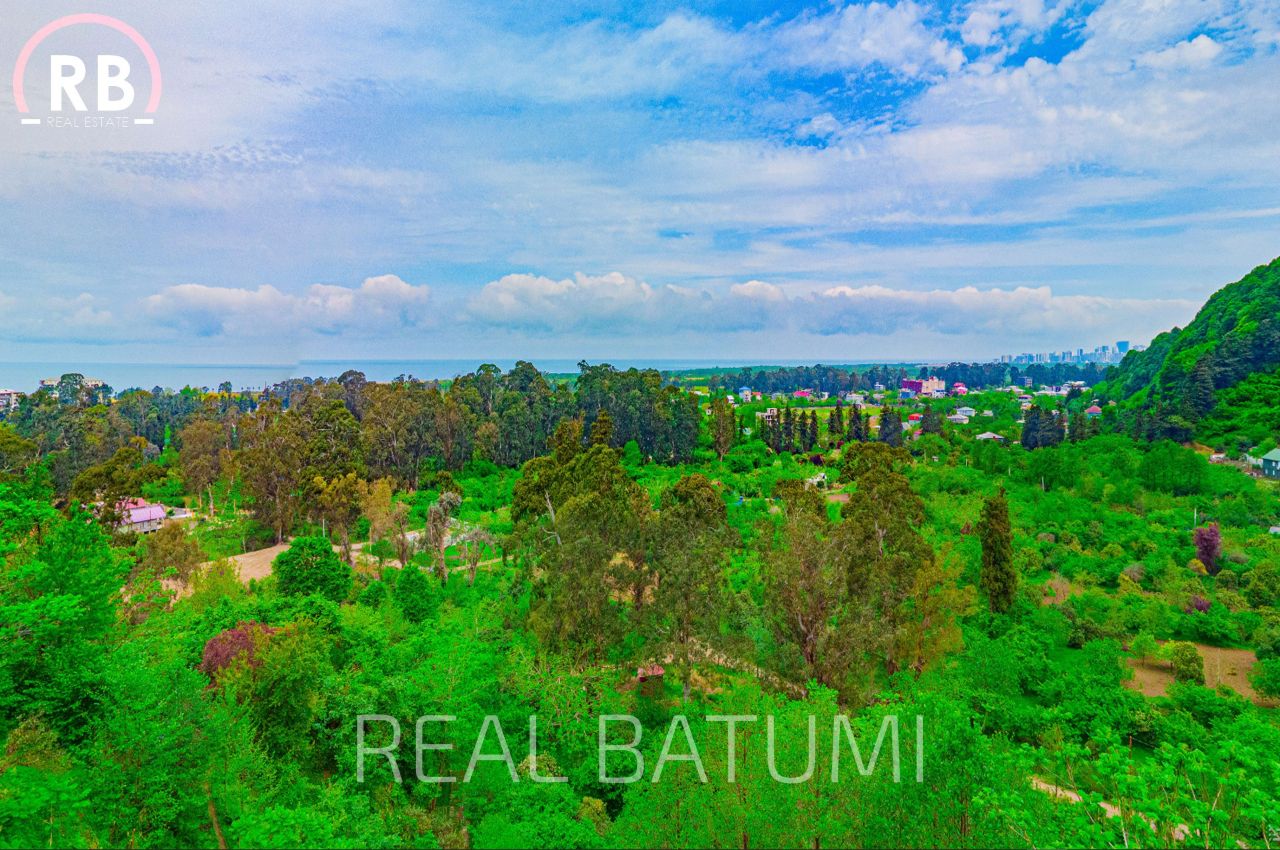 Земля в Батуми, Грузия, 3 000 м² - фото 2