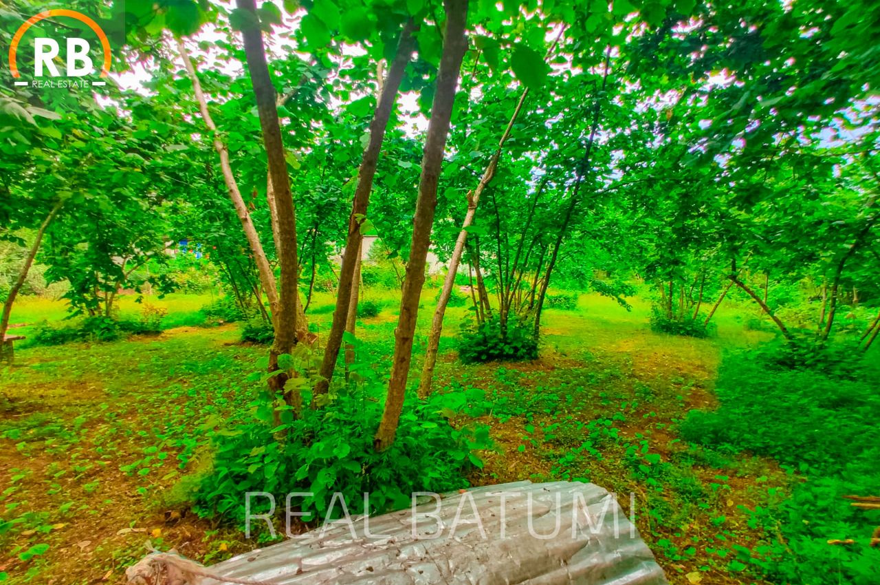 Земля в Батуми, Грузия, 2 500 м² - фото 3