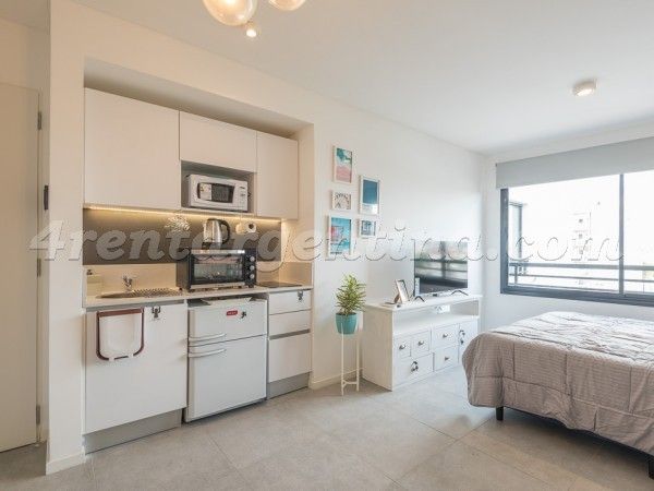 Апартаменты Buenos Aires, Аргентина, 30 м² - фото 12