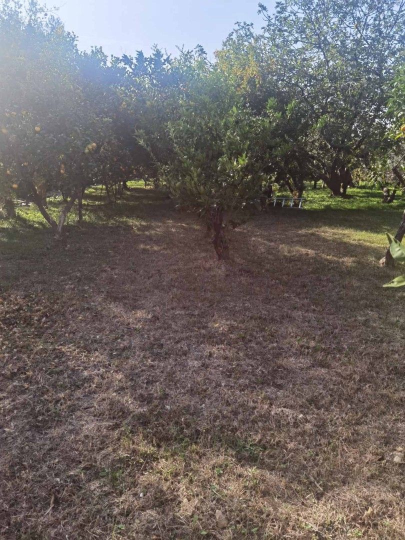 Дом в Баре, Черногория, 100 м² - фото 5