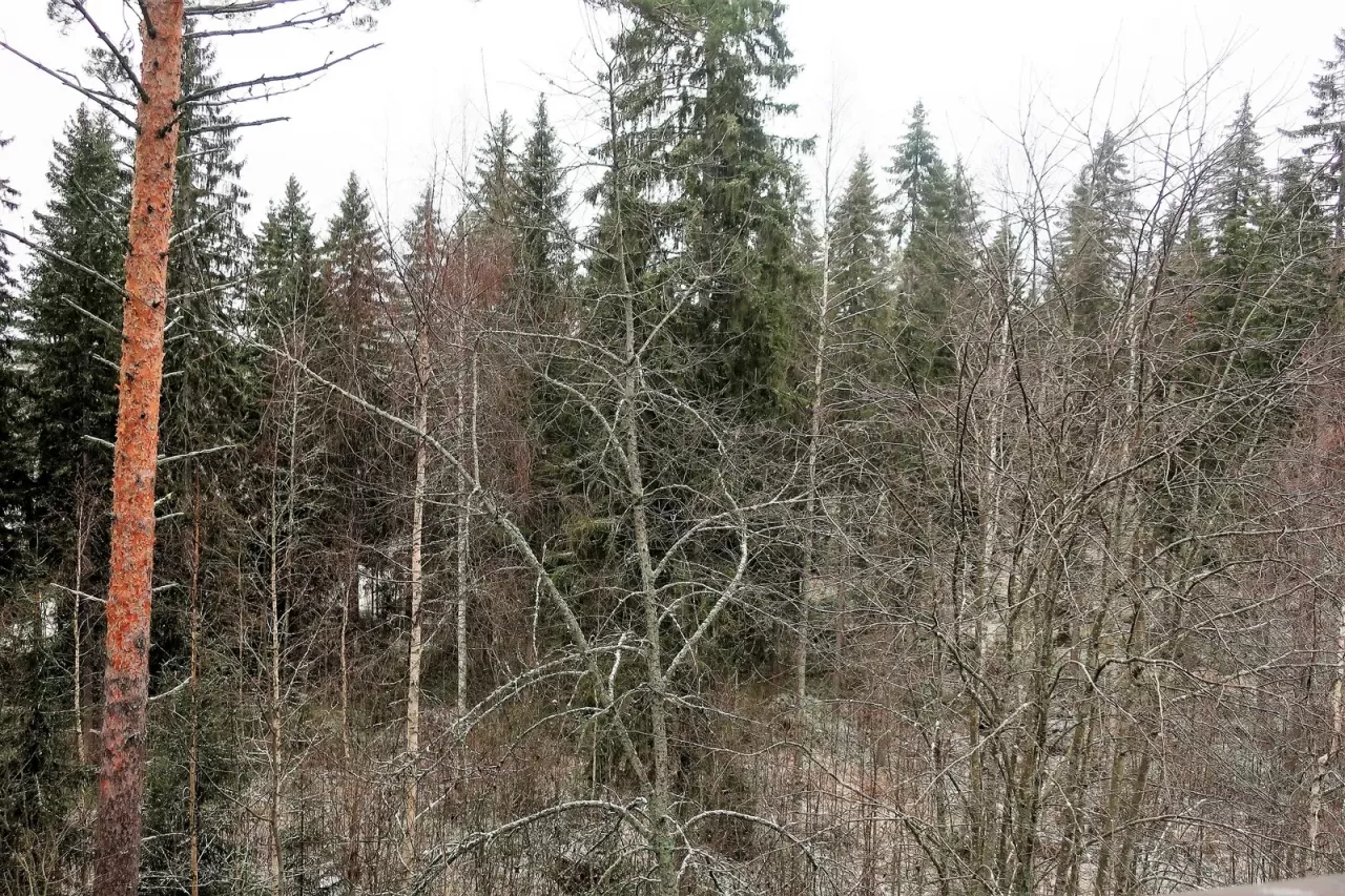 Квартира в Кеуру, Финляндия, 32 м² - фото 11