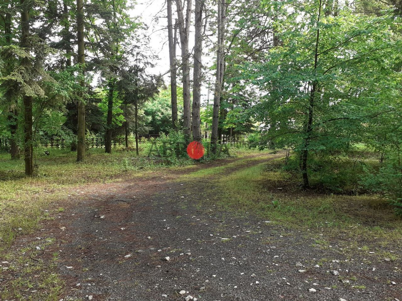 Отель, гостиница в Подвисе, Болгария, 710 м² - фото 15