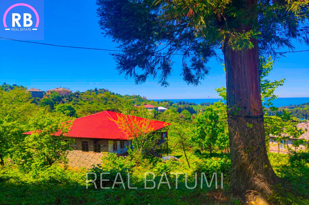 Земля в Батуми, Грузия, 1 500 м² - фото 6
