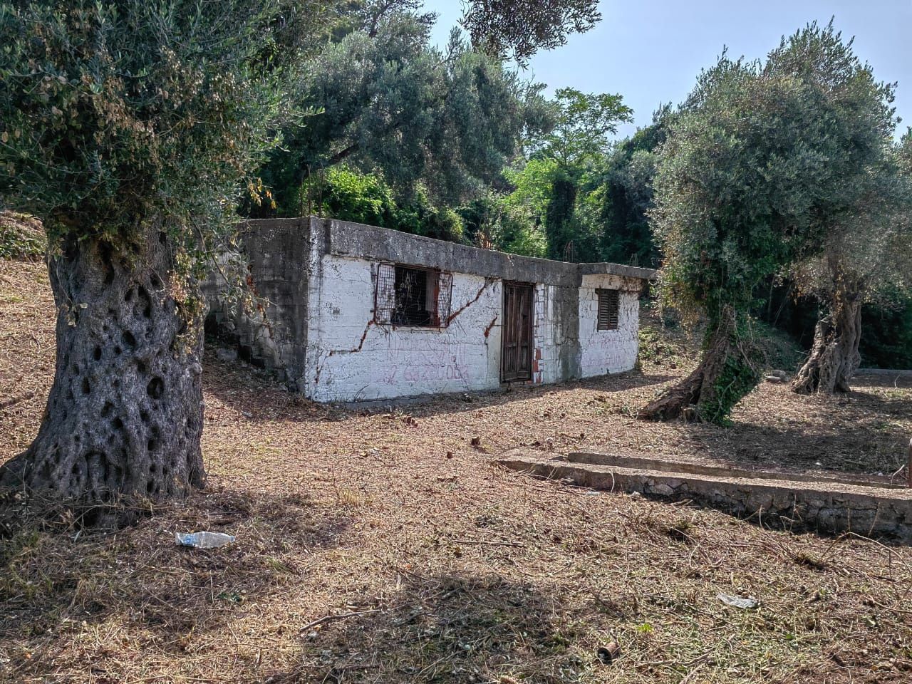 Земля в Баре, Черногория, 529 м² - фото 3