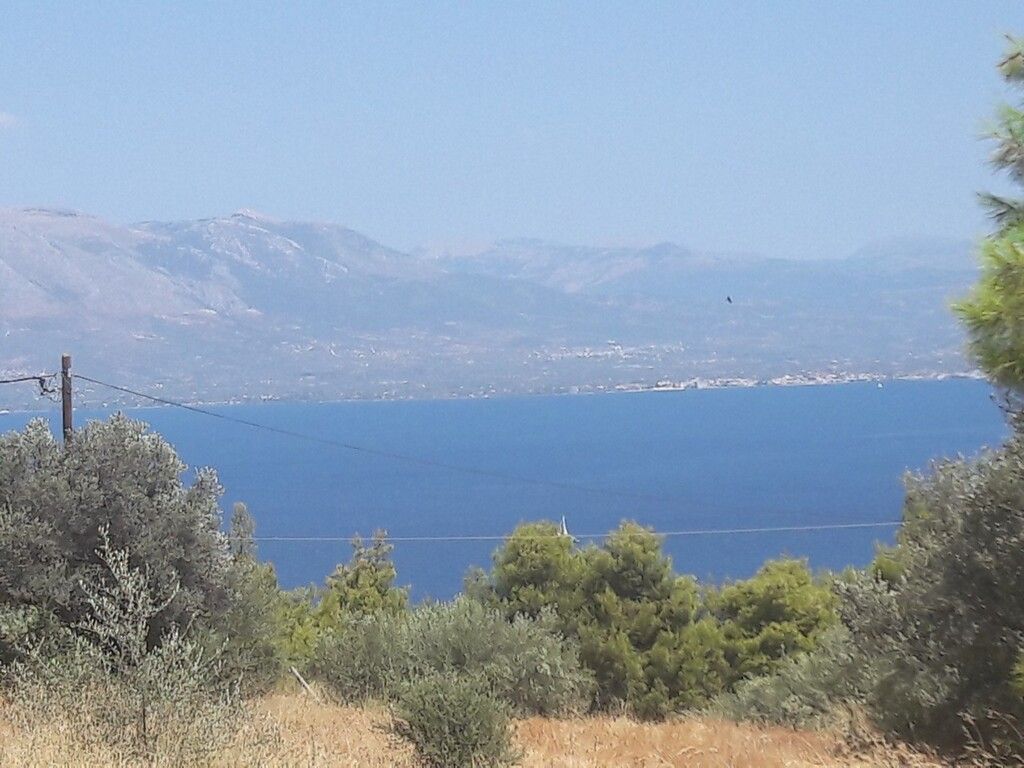 Земля в Эретрии, Греция, 8 076 м2 - фото 1
