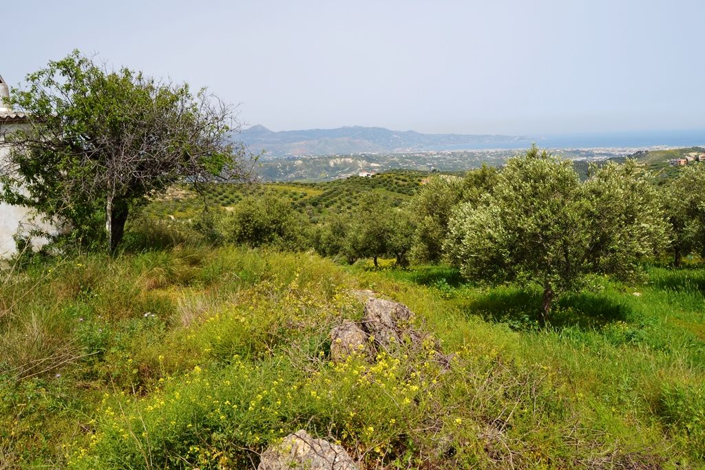 Земля в Ираклионе, Греция, 2 900 м2 - фото 1