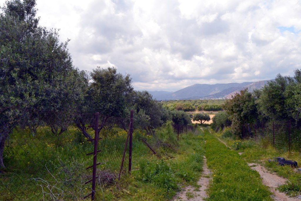 Земля в Ираклионе, Греция, 4 500 м2 - фото 1