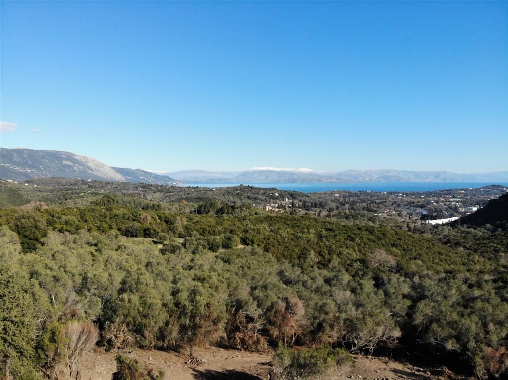 Земля на Корфу, Греция, 5 000 м2 - фото 1