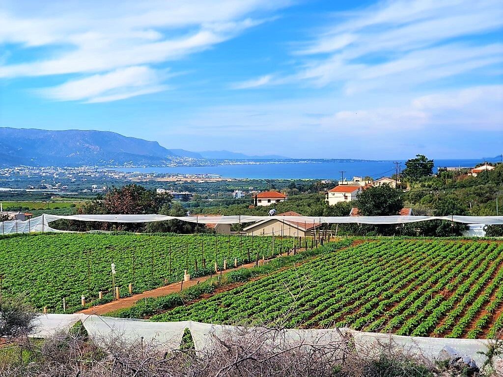 Земля в Ираклионе, Греция, 10 000 м² - фото 2