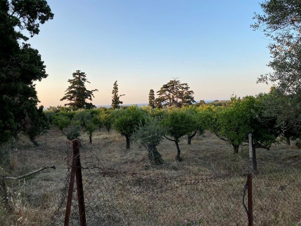 Земля в Ираклионе, Греция, 5 700 м² - фото 2