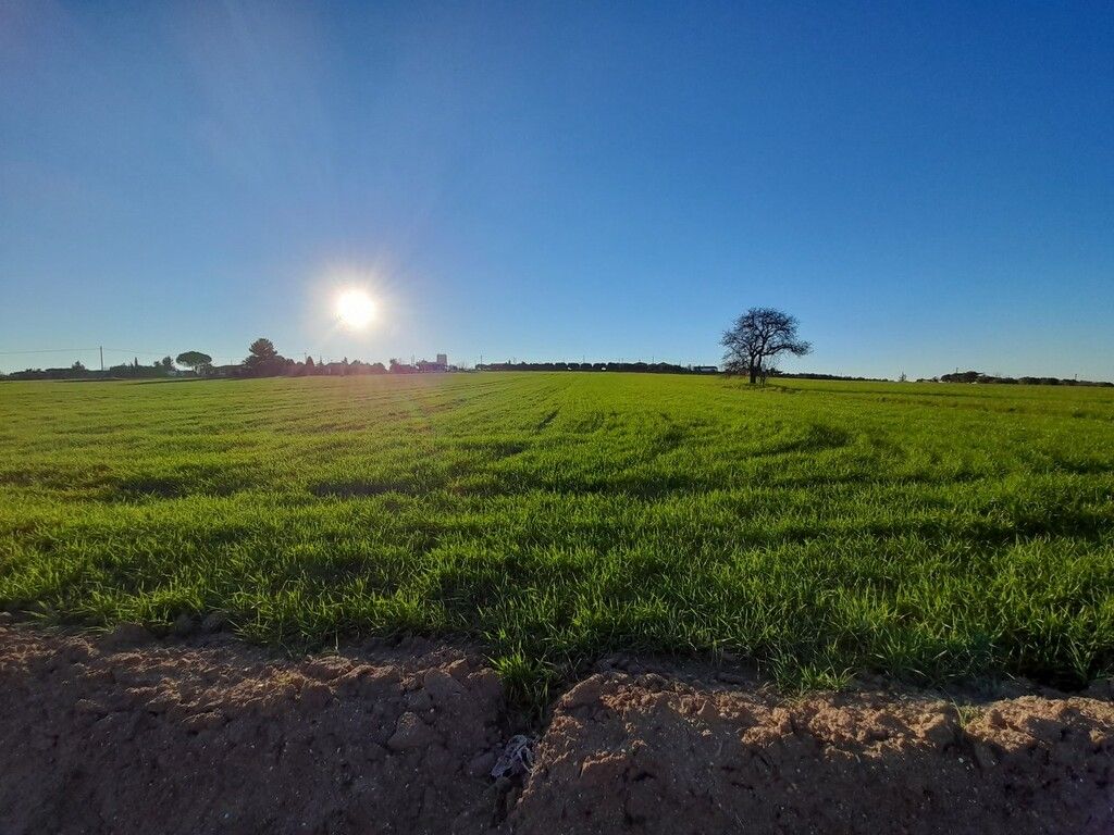 Земля на Халкидиках, Греция, 22 400 м² - фото 2