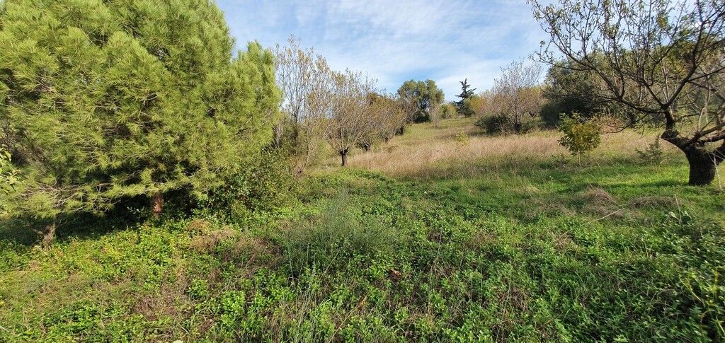 Земля на Халкидиках, Греция, 2 000 м² - фото 2