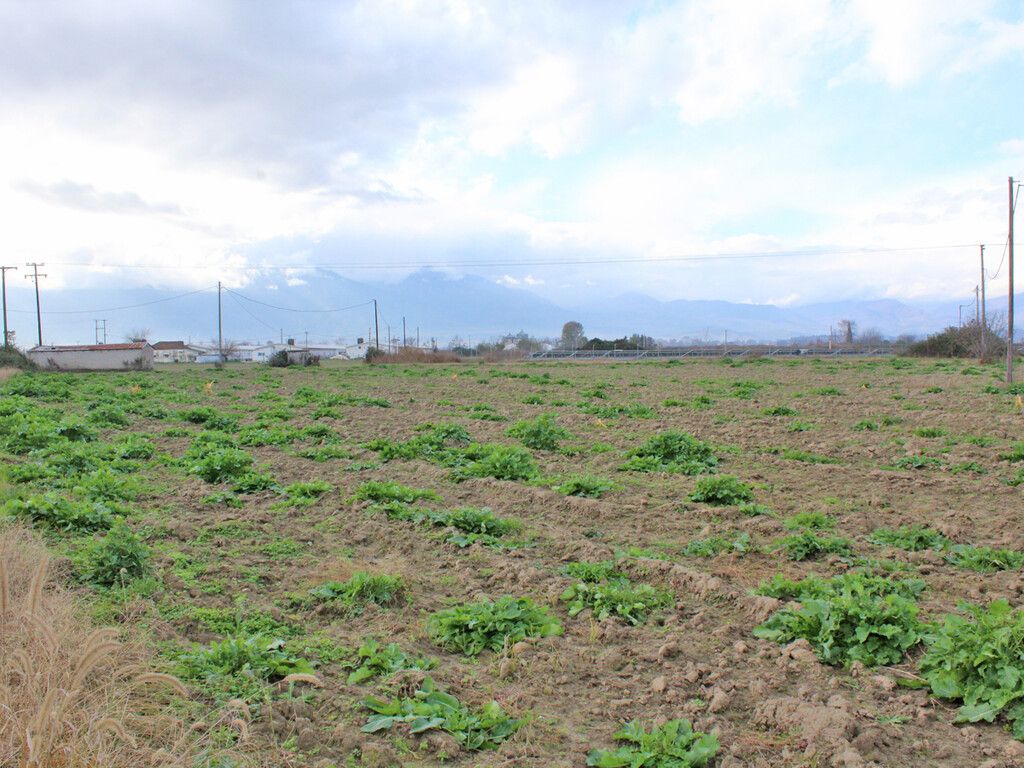 Земля в Олимпиаки-Акти, Греция, 48 714 м² - фото 2