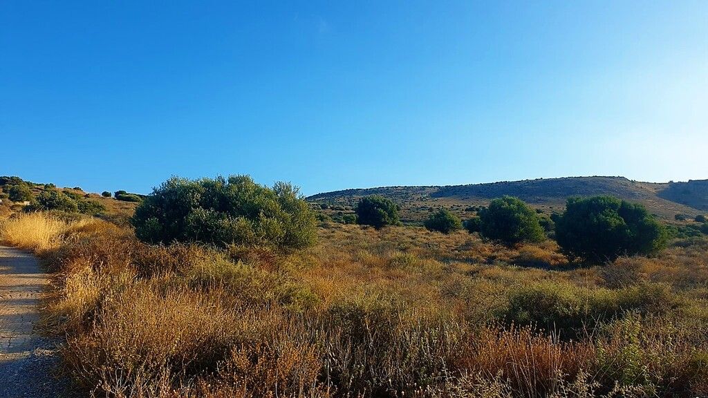 Земля в Ираклионе, Греция, 58 000 м² - фото 2