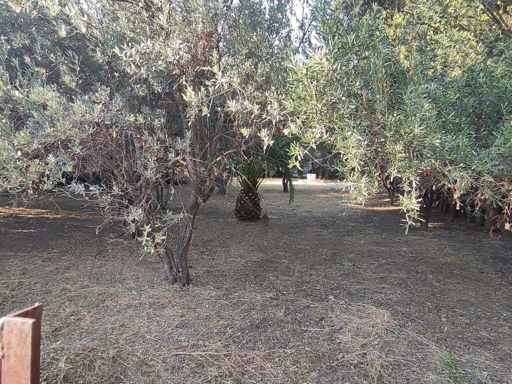 Земля в Аттике, Греция, 965 м² - фото 2