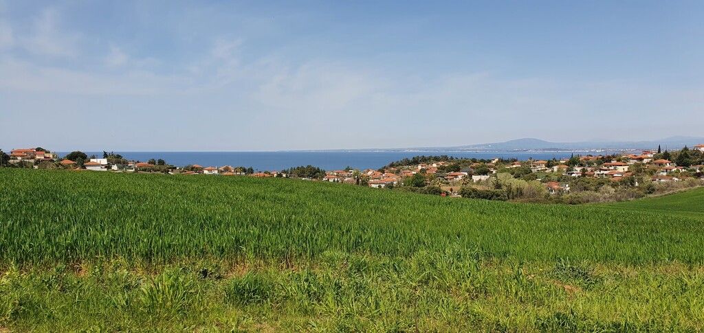 Земля на Кассандре, Греция, 5 250 м² - фото 2