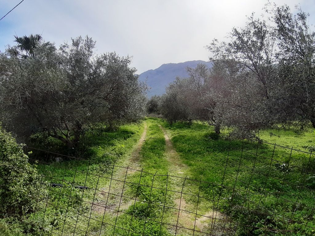 Земля в Ираклионе, Греция, 19 280 м² - фото 2