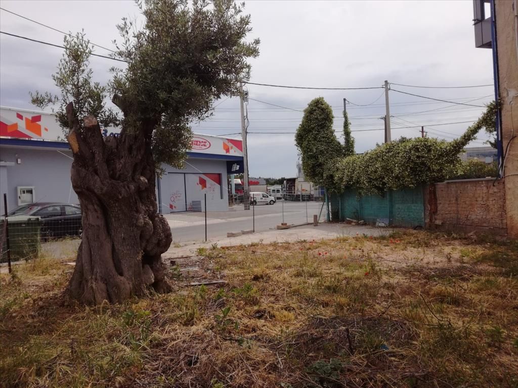 Земля в Афинах, Греция, 881 м² - фото 2