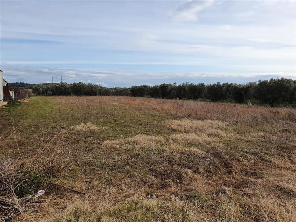 Земля на Халкидиках, Греция, 3 000 м² - фото 2