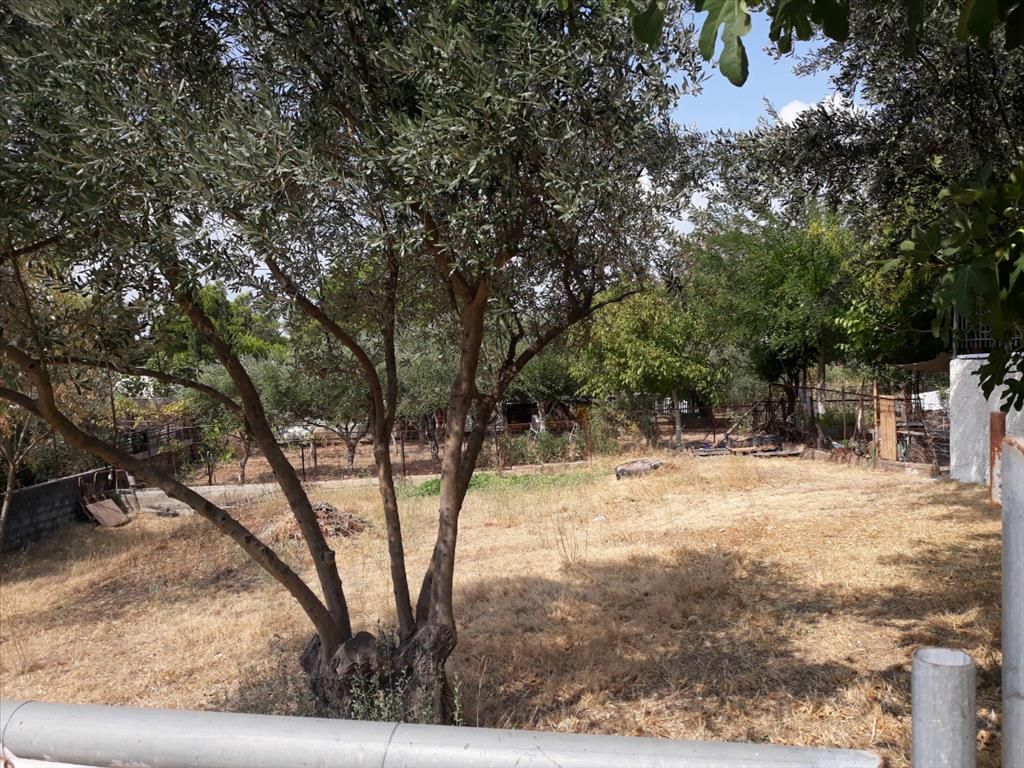 Земля в Афинах, Греция, 374 м² - фото 2